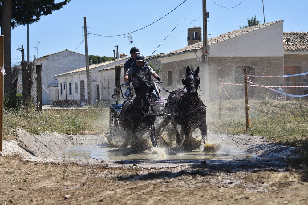 Primera Fase del Campeonato Navarro de Enganches Obstáculos